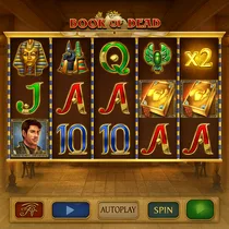 55Bet - Book of Dead Slot Game - Play'N Go Adventure